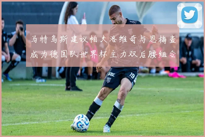 马特乌斯建议帕夫洛维奇与恩梅查成为德国队世界杯主力双后腰组合