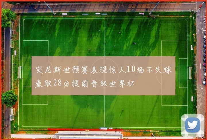 突尼斯世预赛表现惊人10场不失球豪取28分提前晋级世界杯